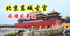 羞羞影网站亚洲私人中国北京-东城古宫旅游风景区